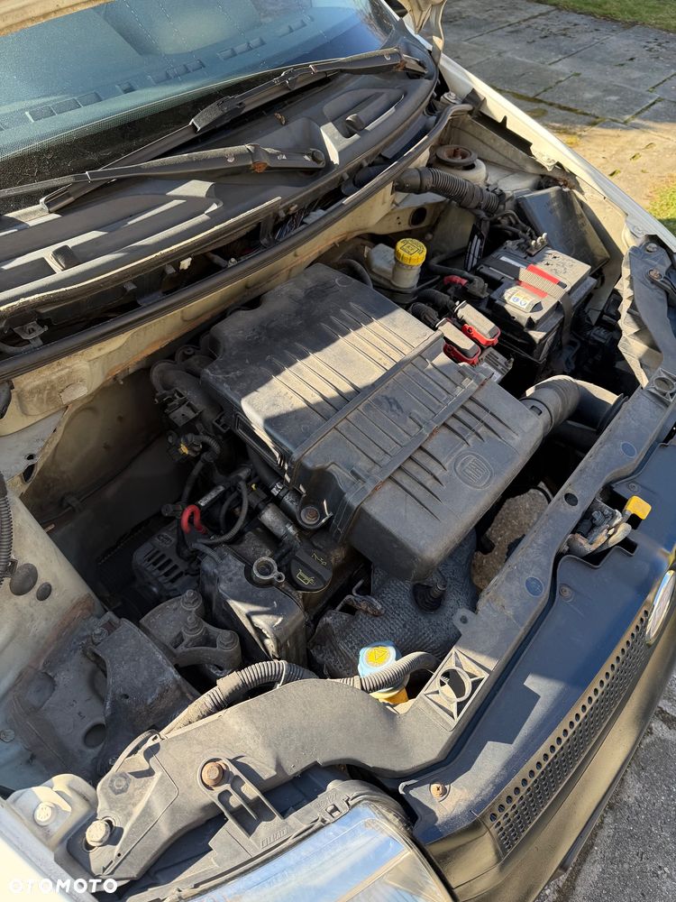 Fiat Panda 1.2 Dynamic Eco - 14