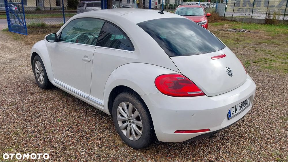 Volkswagen Beetle - 8