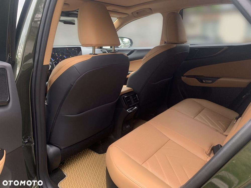Lexus NX - 18