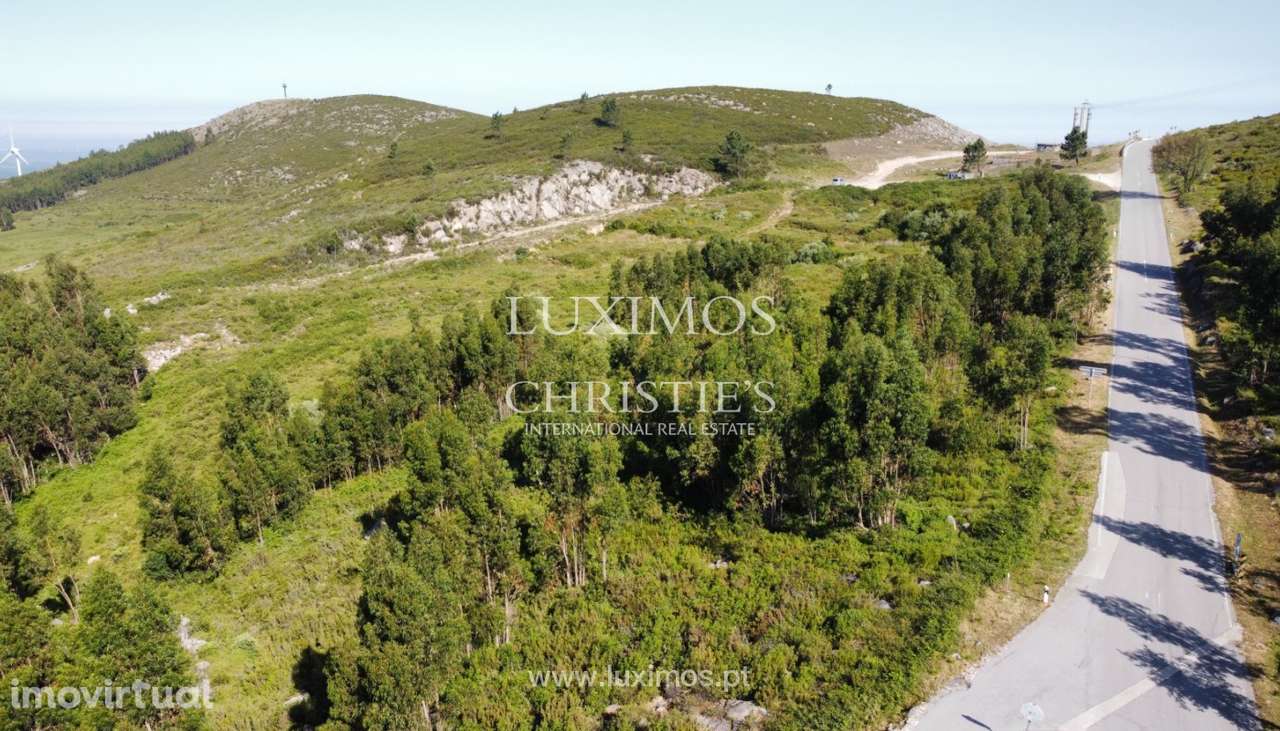 Terreno, para venda, em Monchique, Algarve - Grande imagem: 2/16
