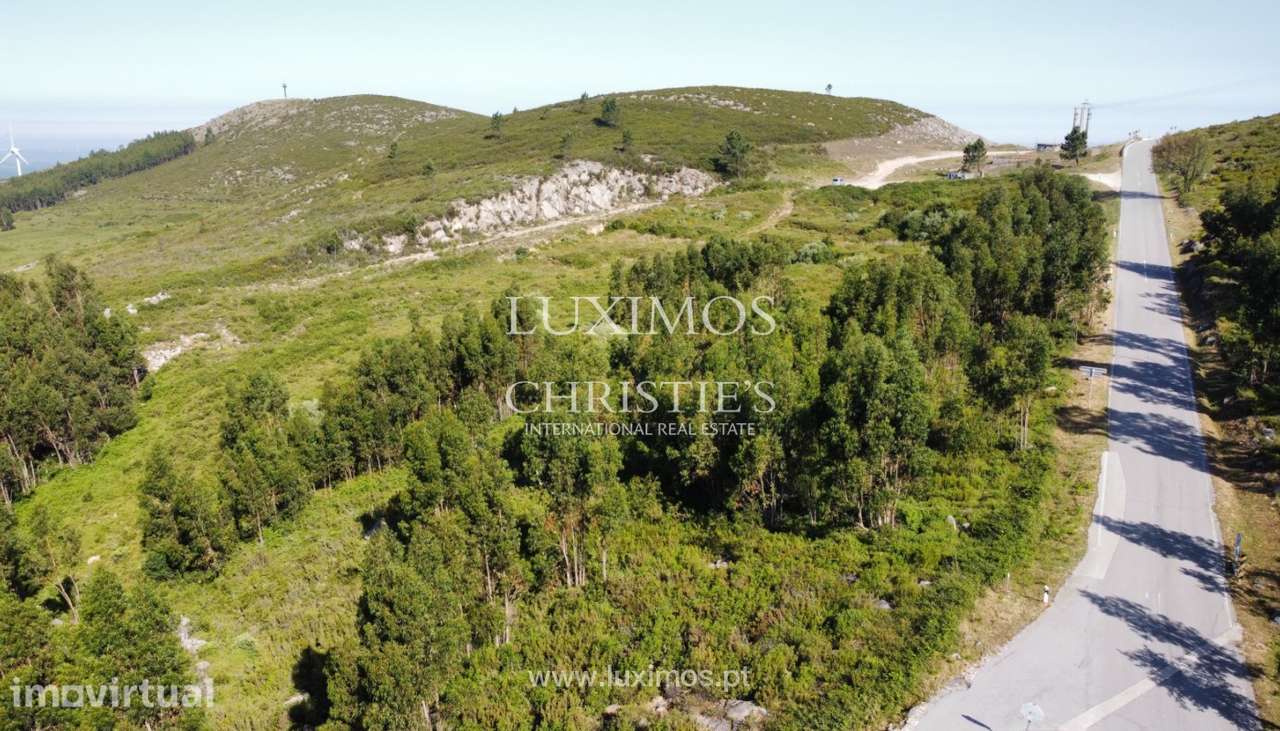 Terreno, para venda, em Monchique, Algarve - Grande imagem: 2/16
