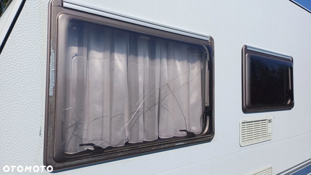Wilk DE LUX 451 - 5