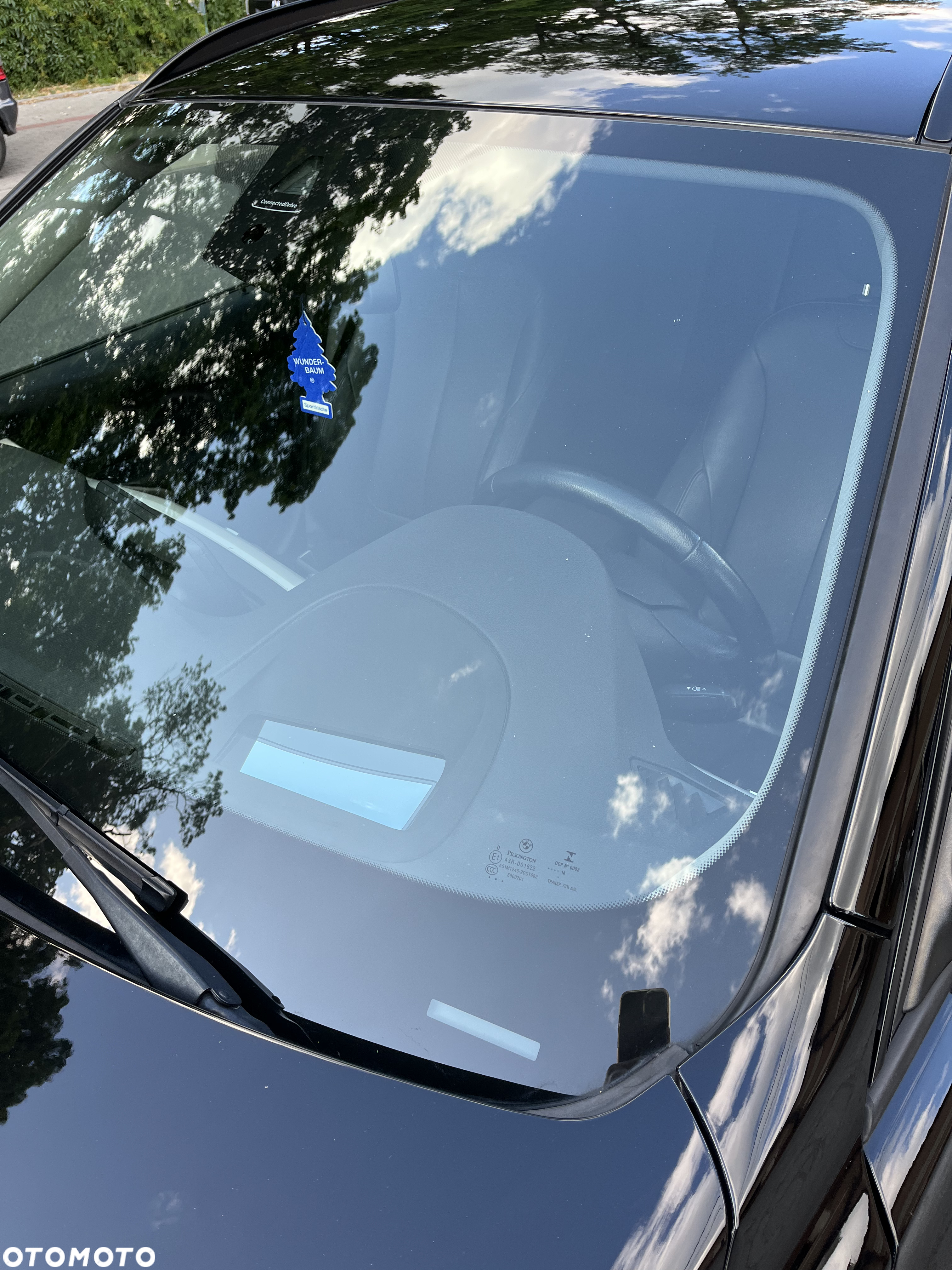 BMW Seria 3 320d xDrive Advantage - 31