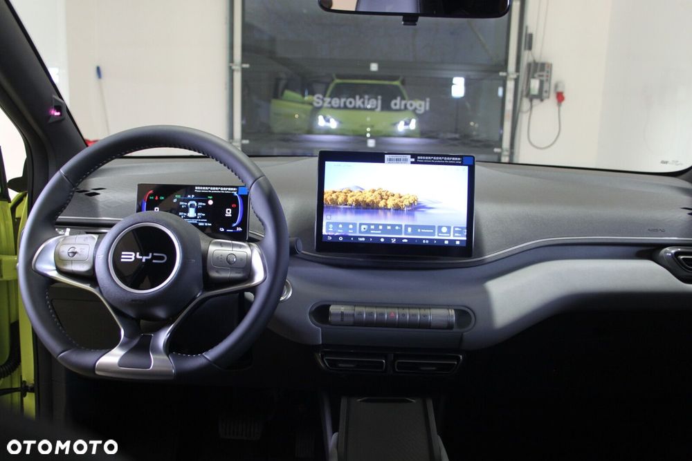 BYD Dolphin Surf - 36