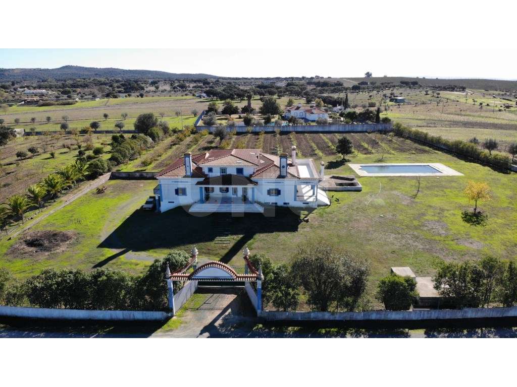 Quinta com 4,8 hectares e casa T9 em Vila Nova da Baronia - Grande imagem: 4/60