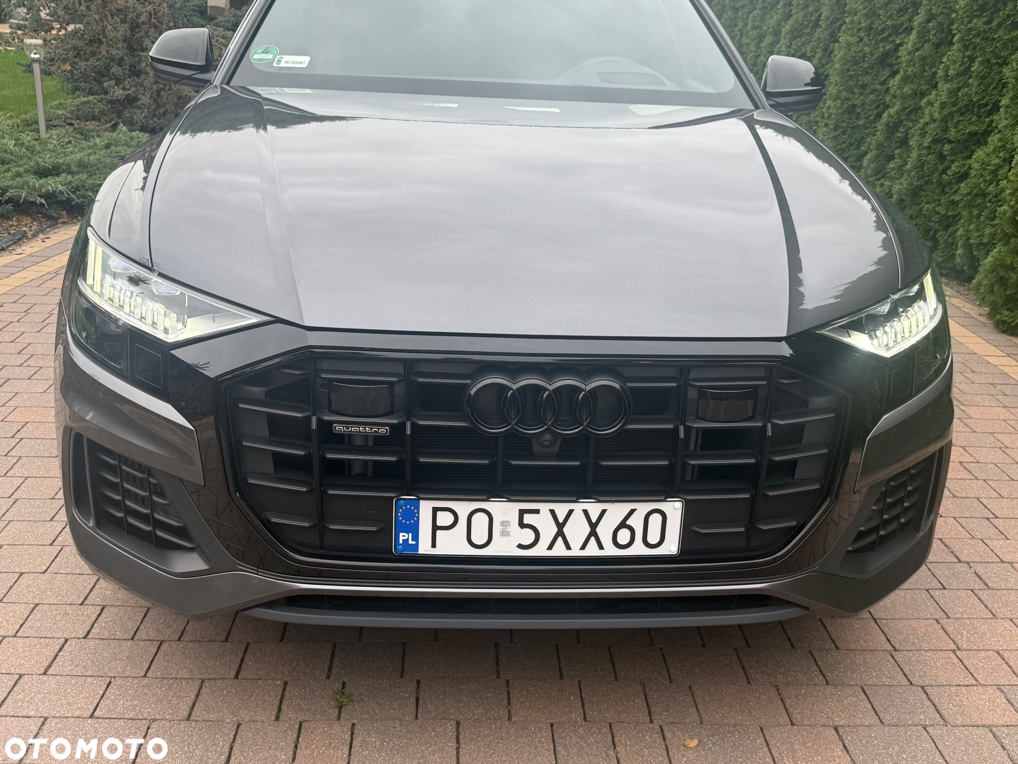 Audi Q8 - 20