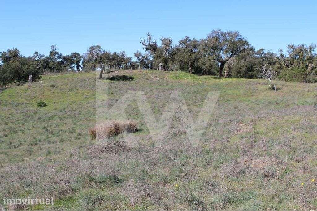 Terreno de 5,8 hectares em Santa Margarida da Serra - Grande imagem: 4/9