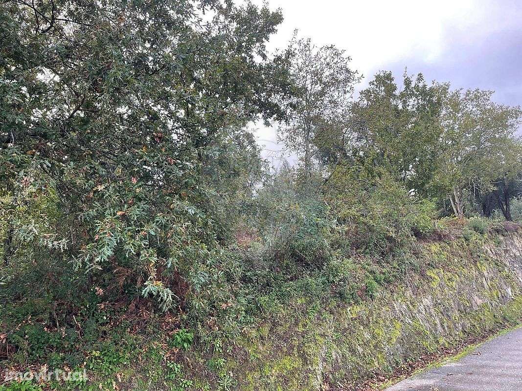 Terreno  para venda - Grande imagem: 4/5