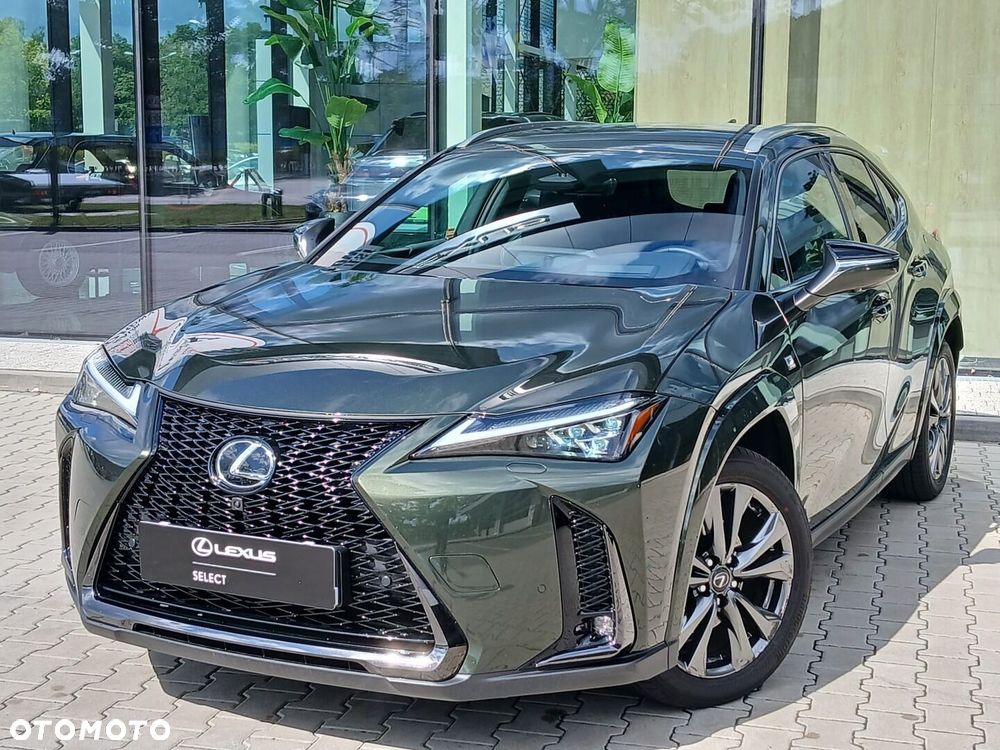Lexus UX 300h F Sport AWD - 12