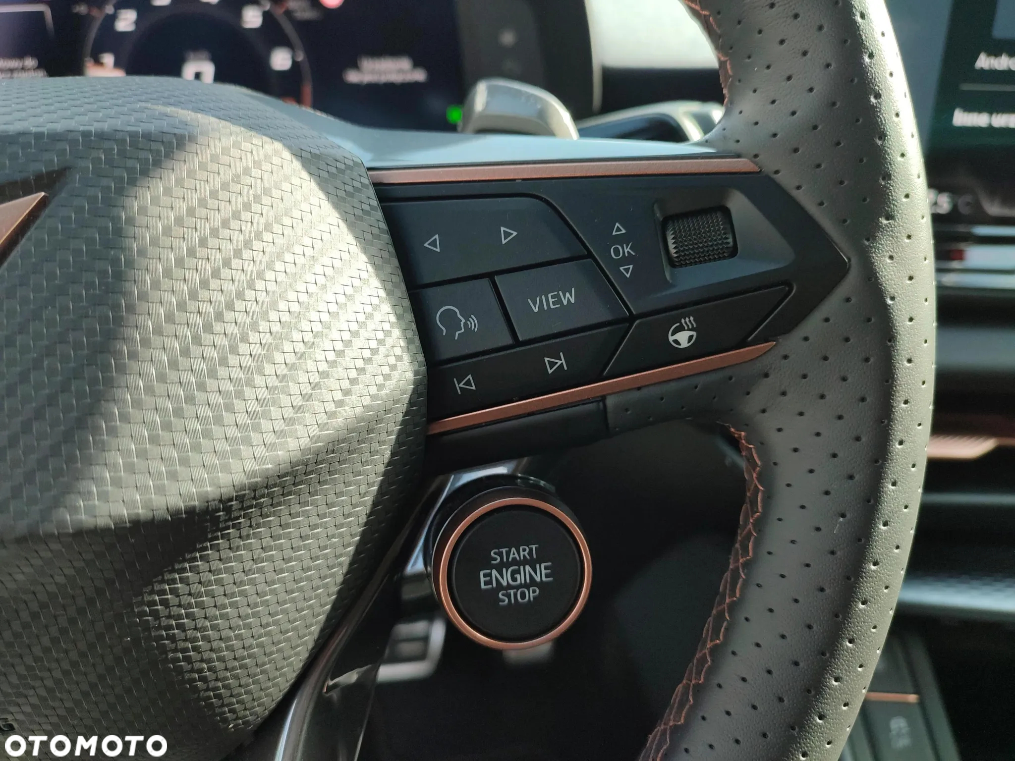 Cupra Terramar 1.5 eTSI mHEV DSG - 24