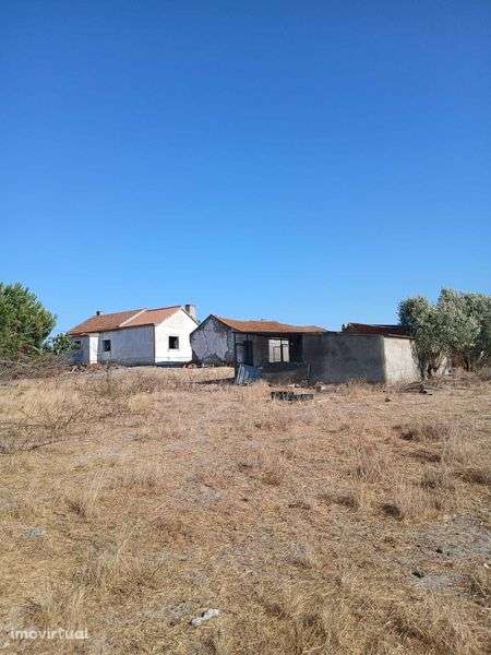 Terreno 2 hectares ótimo investimento! - Grande imagem: 3/9