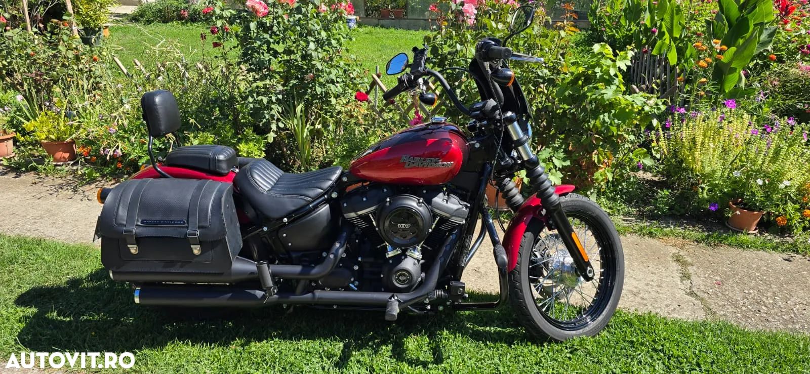 Harley-Davidson Softail Street Bob - 1
