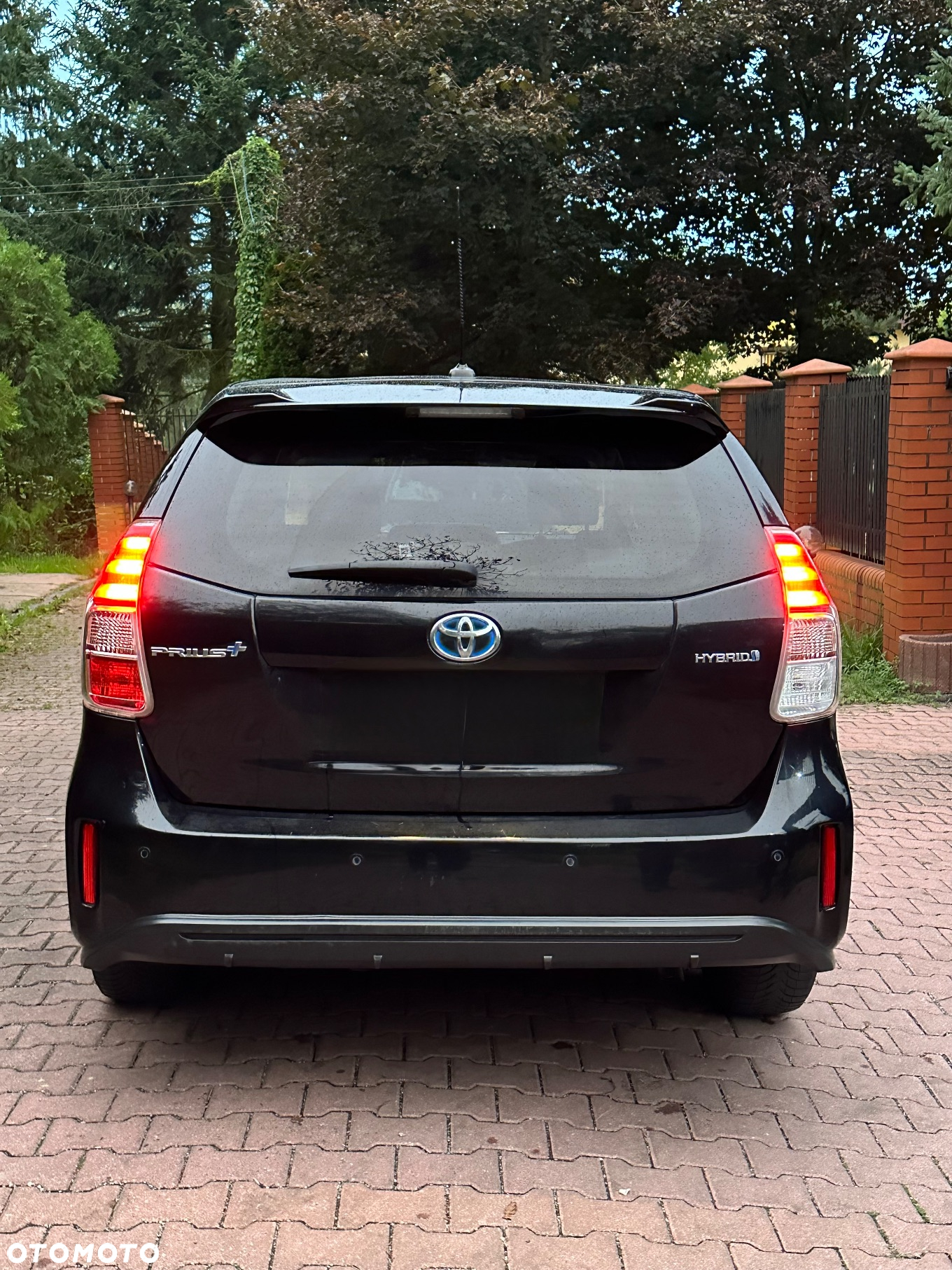 Toyota Prius+ (Hybrid) - 5