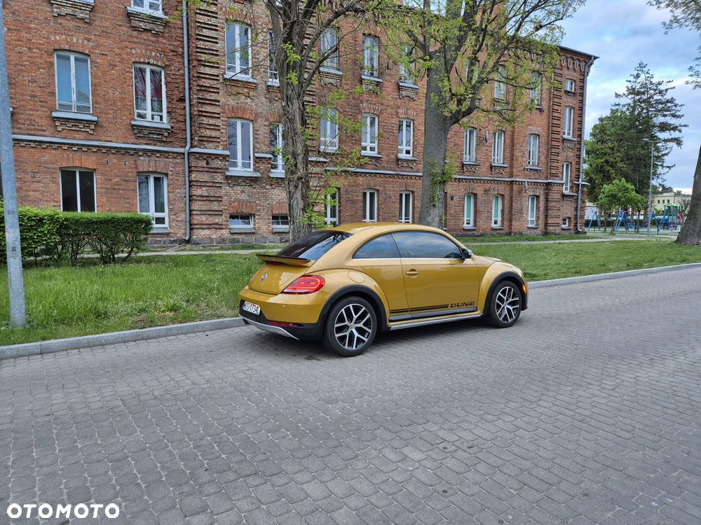 Volkswagen Beetle - 12