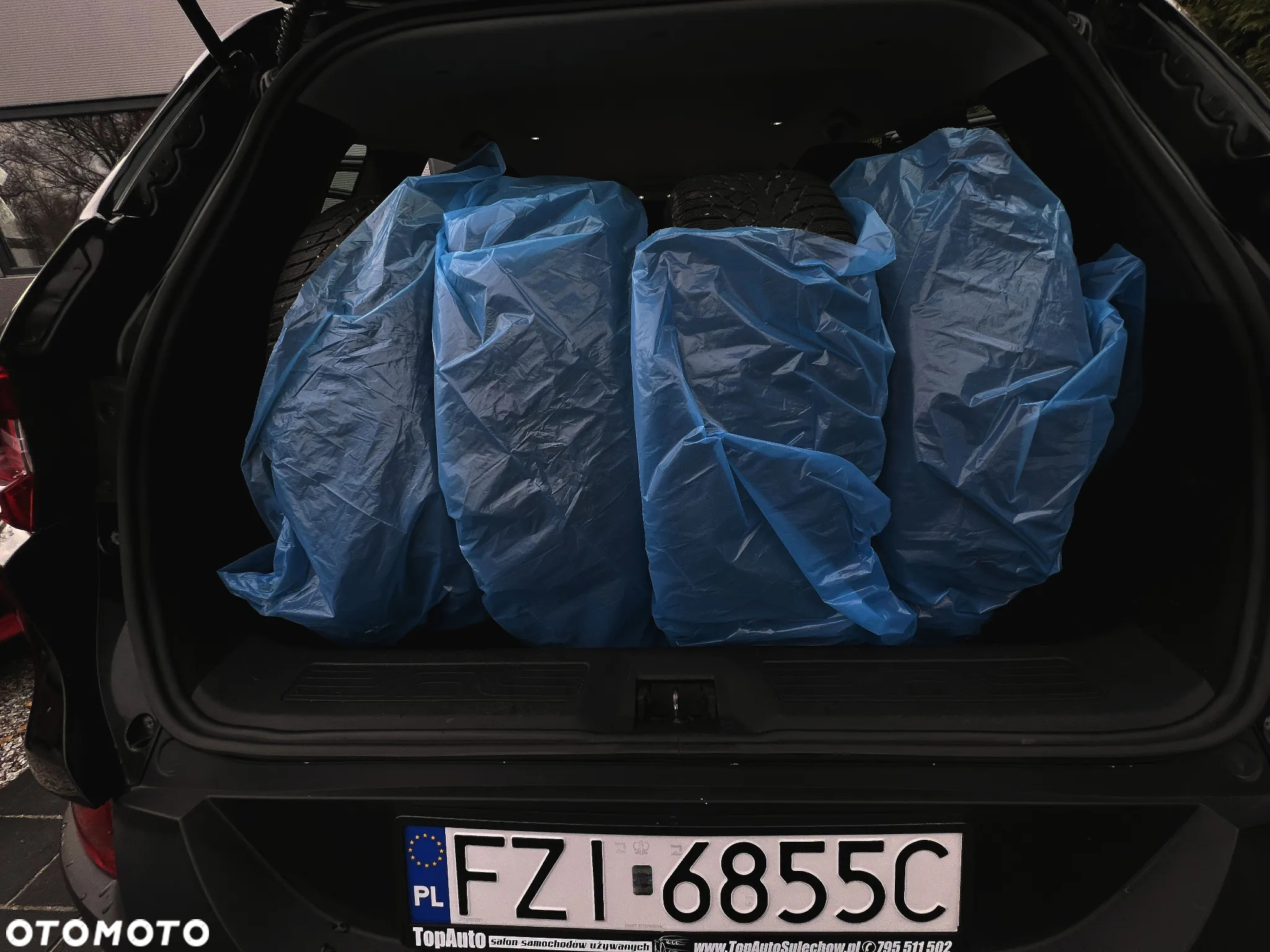 Renault Kadjar - 19