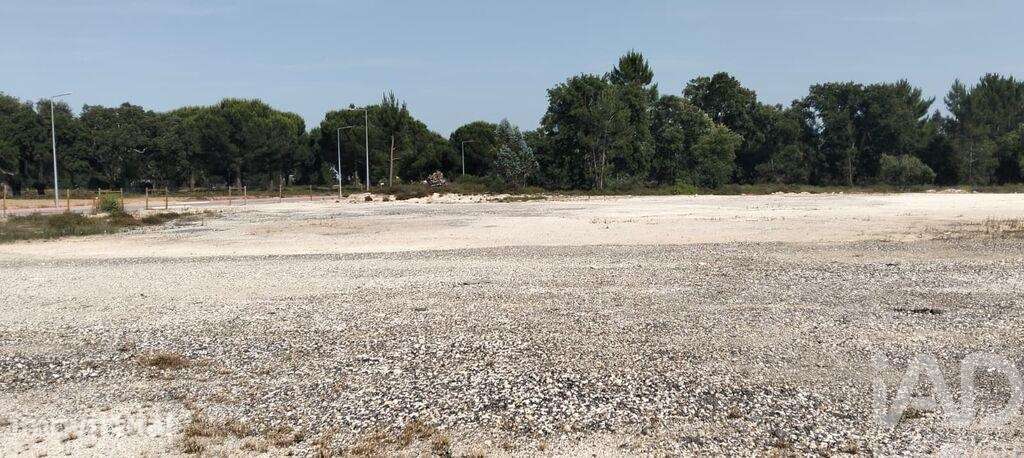 Terreno industrial em Almeirim - Grande imagem: 5/40