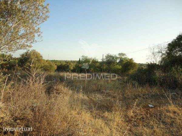 3 hectares de terreno com ruína - Grande imagem: 4/7