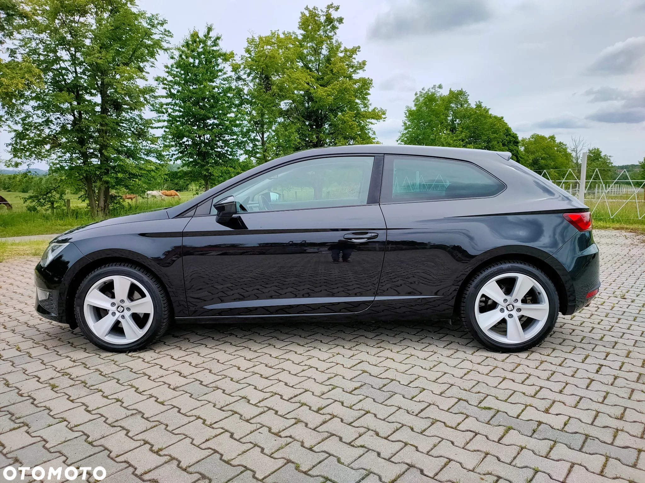 Seat Leon SC 1.4 TSI Start&Stop FR Edition - 2