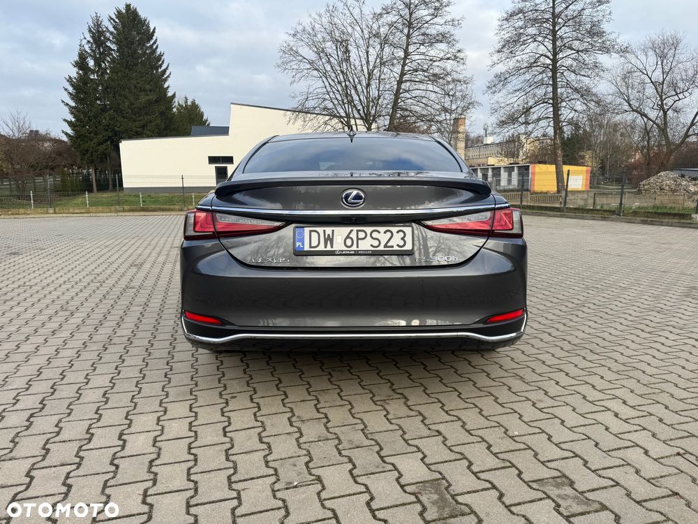 Lexus ES 300h Business Edition + - 9