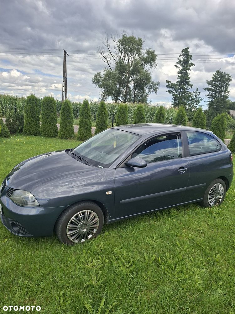 Seat Ibiza - 1
