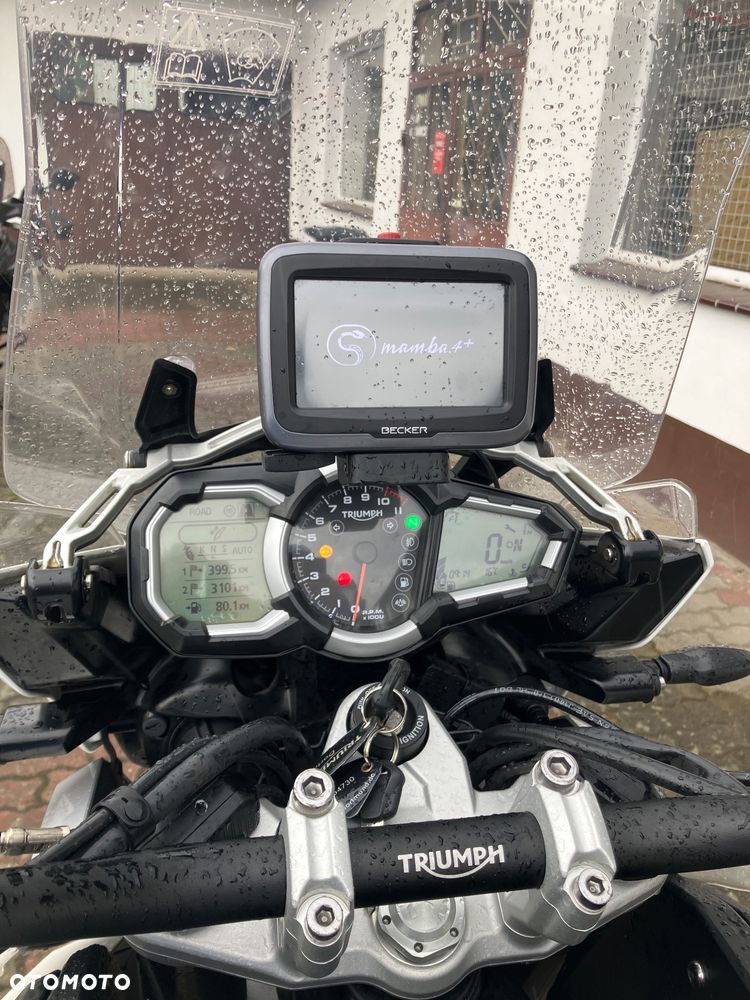 Triumph Tiger - 16