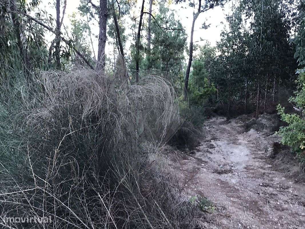 Terreno  para venda - Grande imagem: 5/9