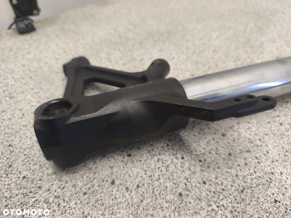 Laga lewa, zawieszenie przód, amortyzator, kopyto Triumph Tiger 1050 - 11