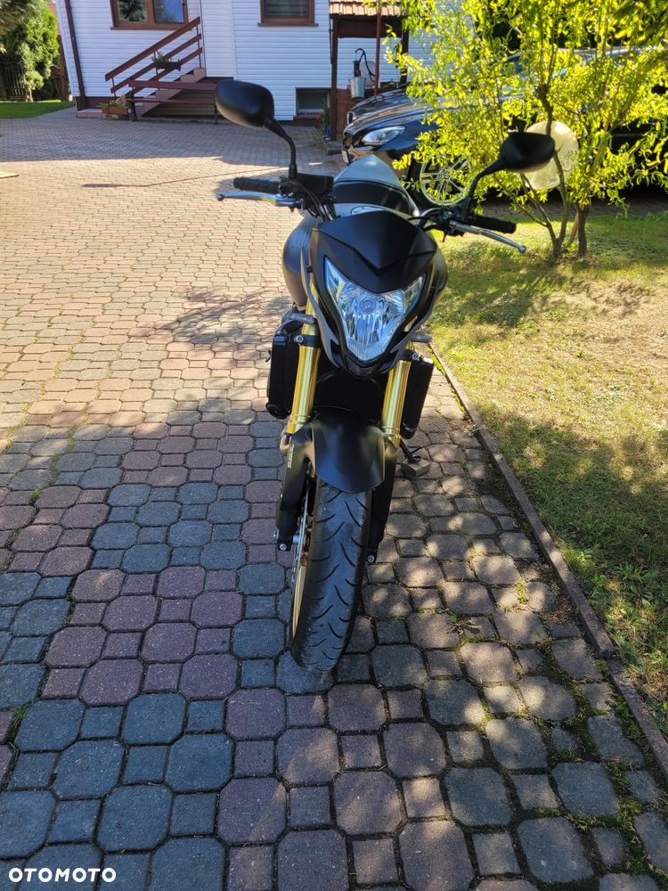 Honda Hornet - 17