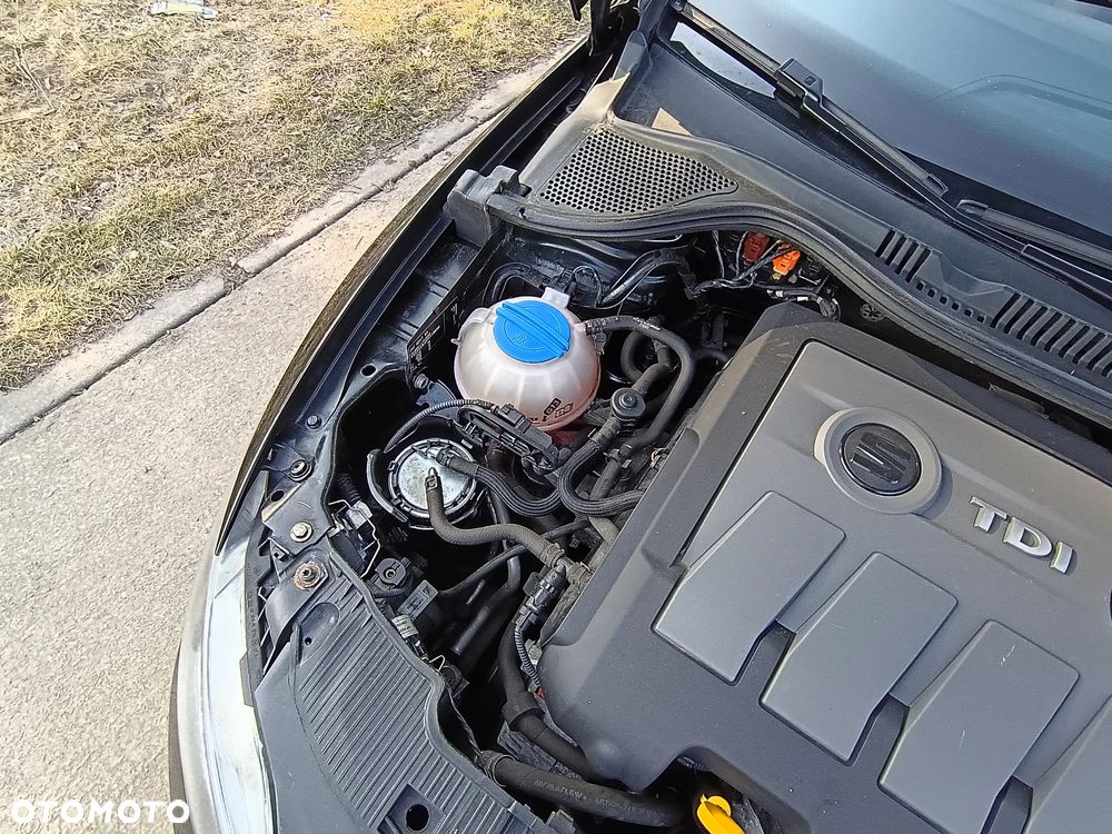 Seat Ibiza - 27