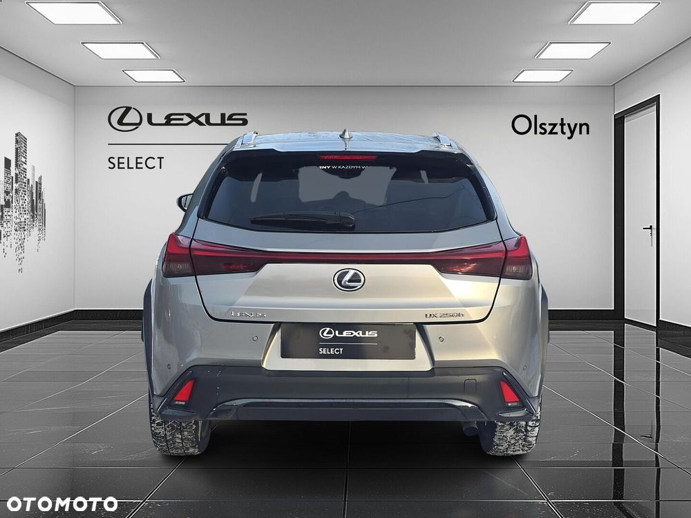 Lexus UX 250h GPF F Sport Design 2WD - 5