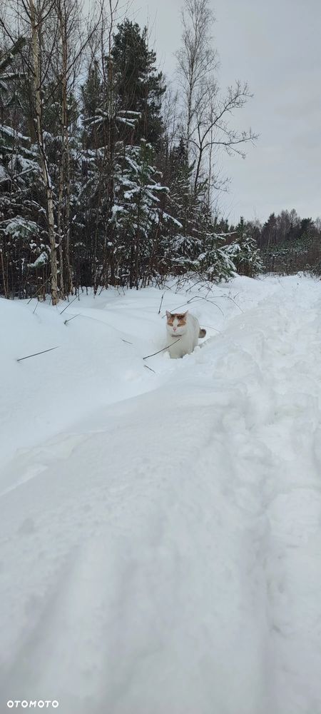 Mercedes-Benz W124 (1984-1993) - 16