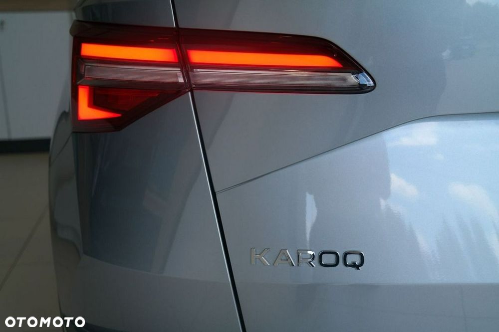 Skoda Karoq - 10
