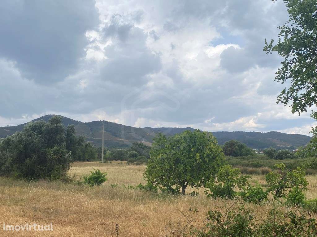 Lote de terreno rústico com a área total de 220m2, Salir, Algarve - Grande imagem: 4/15