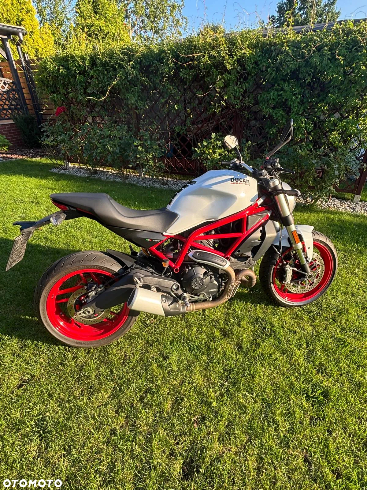 Ducati Monster - 4