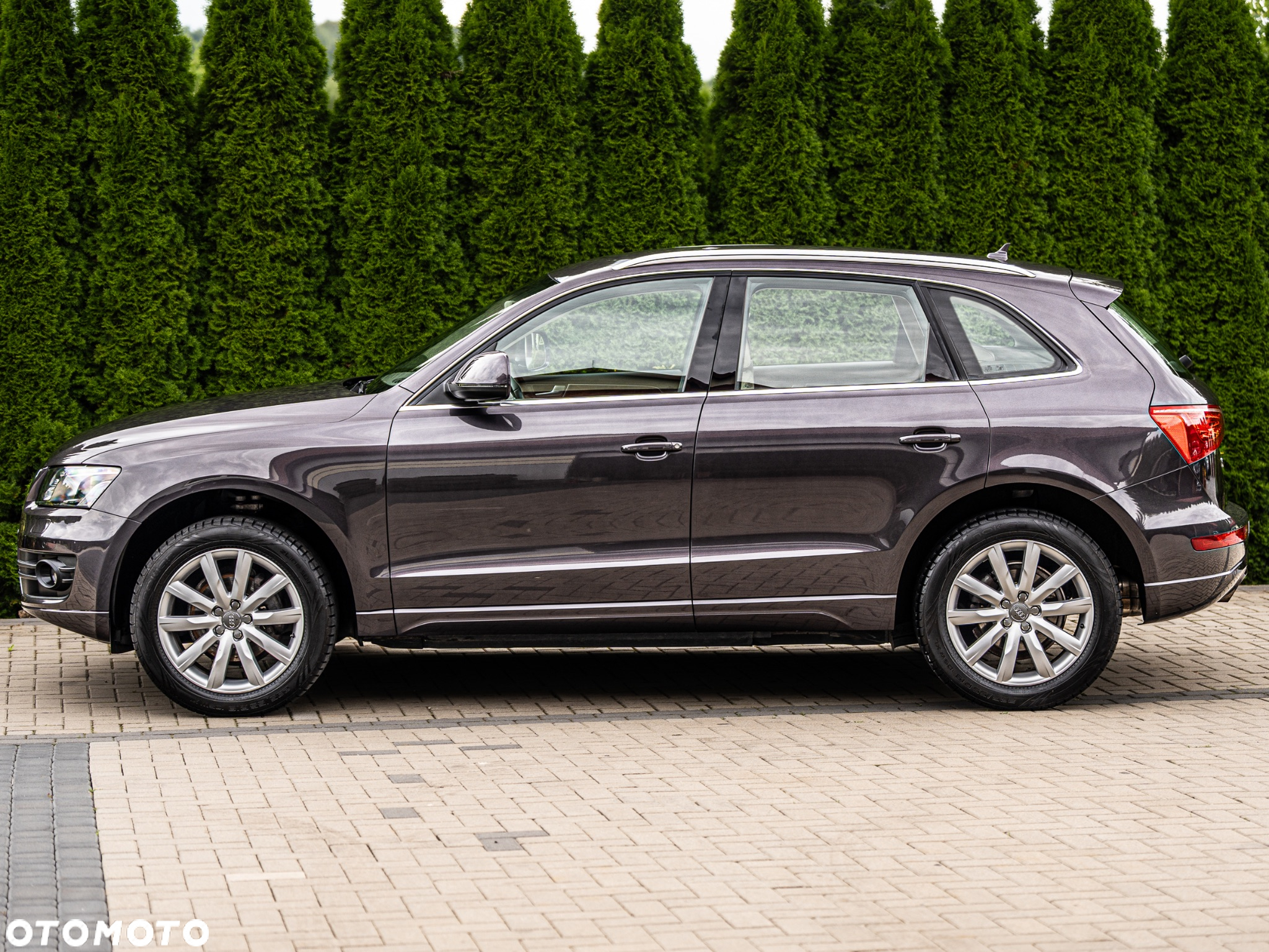 Audi Q5 2.0 TDI Quattro - 6
