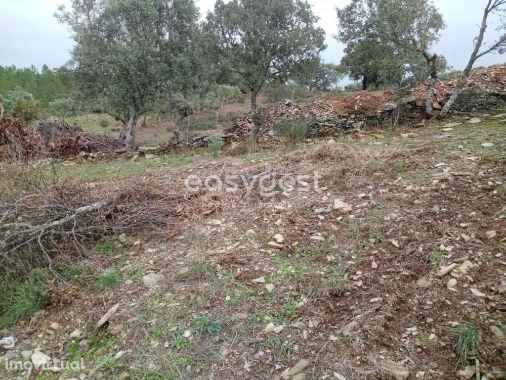 Terreno Rústico no centro das Benquerenças com bom acesso - Grande imagem: 4/11