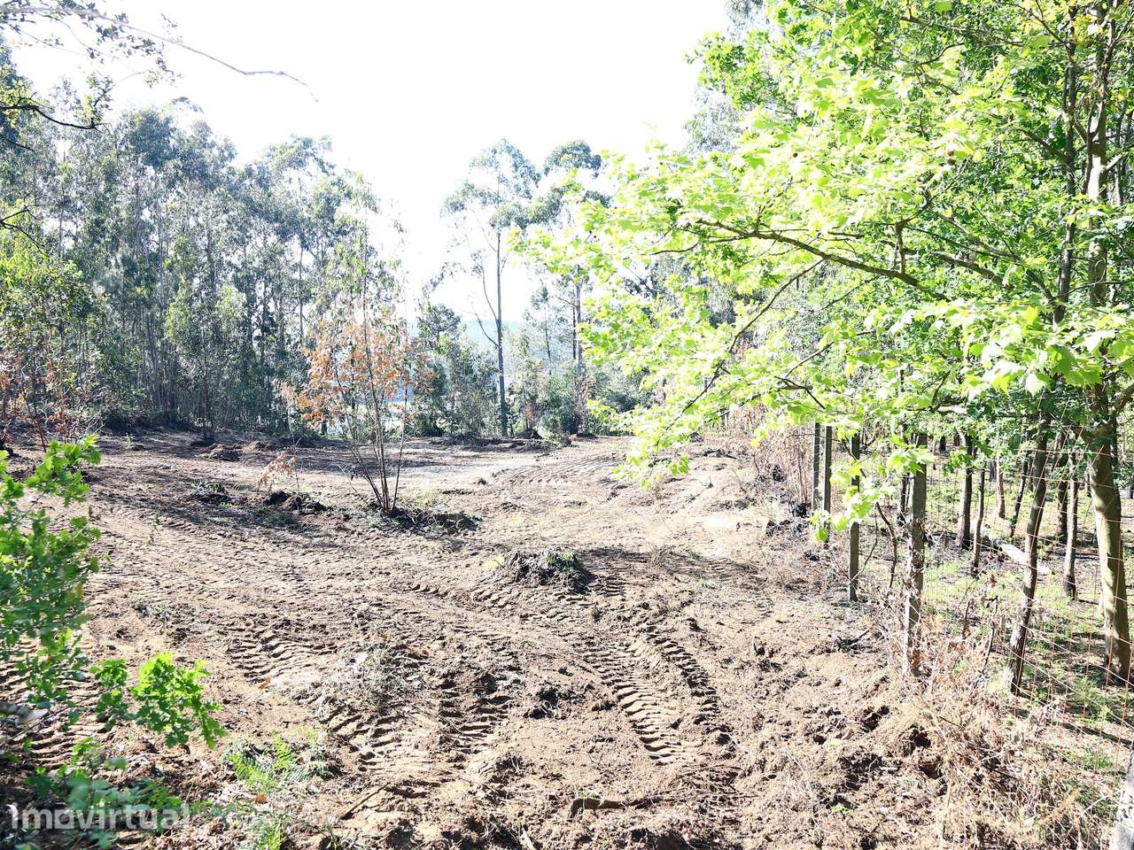 Terreno Para Construção  Venda em Lustosa e Barrosas (Santo Estêvão),L - Grande imagem: 3/5