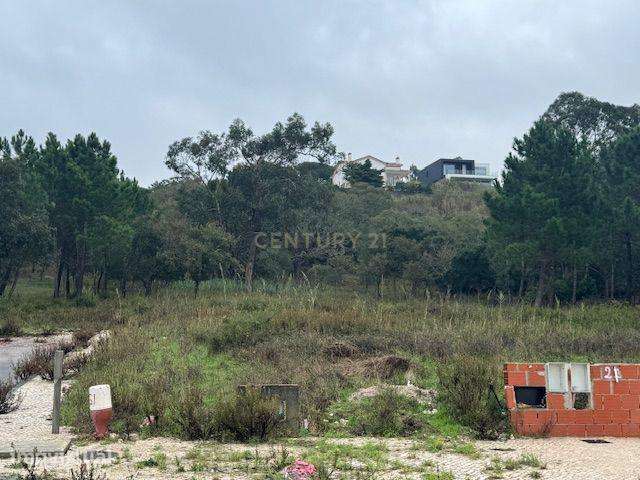 Lote de terreno para construção a 2 km de Caldas da Rainha - Grande imagem: 2/6
