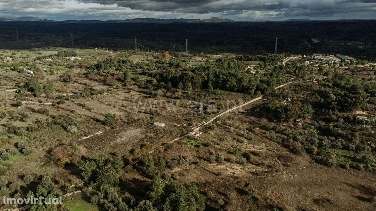 Quinta / Fundão, Orca - Grande imagem: 3/5
