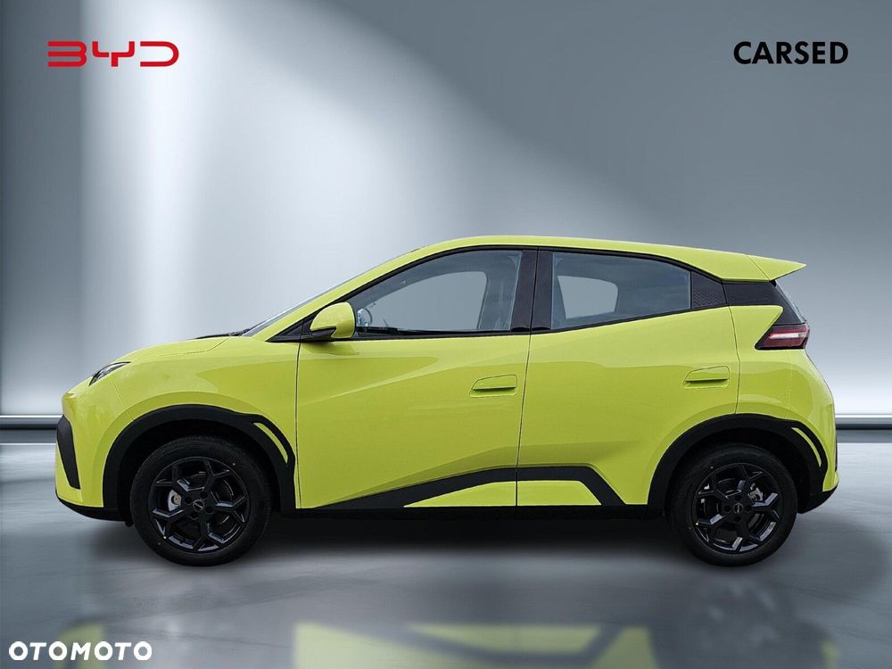 BYD Dolphin Surf - 2