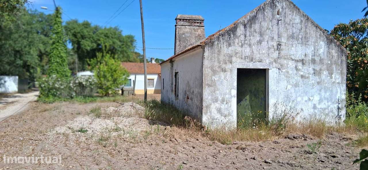 Terreno com 5000m2, com casa para restaurar - Granho Novo Marinhais... - Grande imagem: 2/8