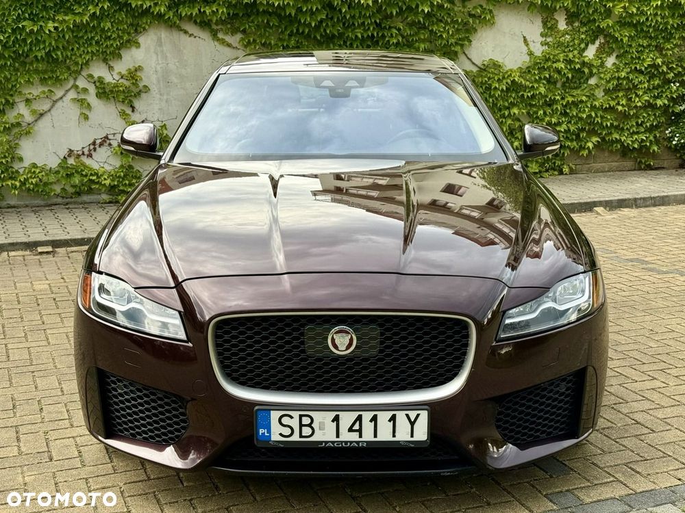 Jaguar XF - 12