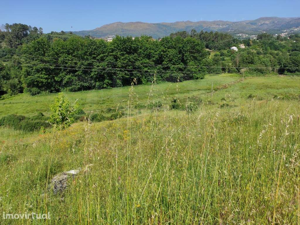 Terreno Rústico Vila Real - Grande imagem: 3/8