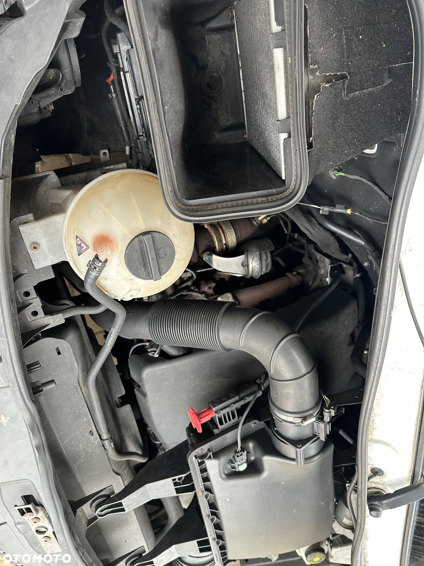 Mercedes-Benz SPRINTER - 11