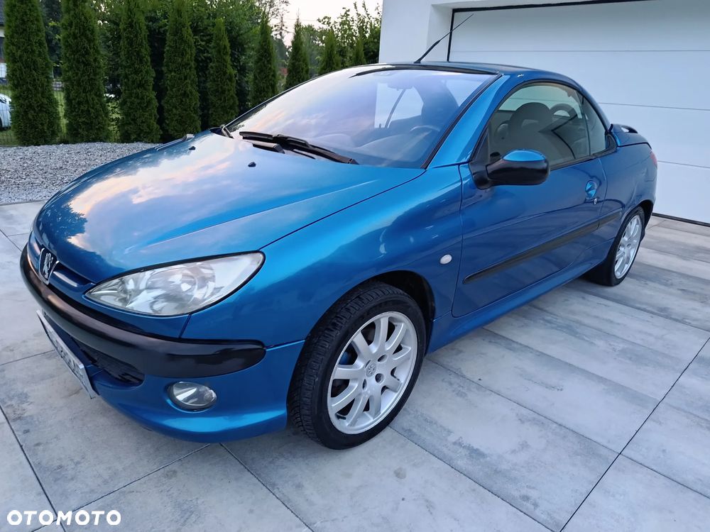 Peugeot 206 - 17