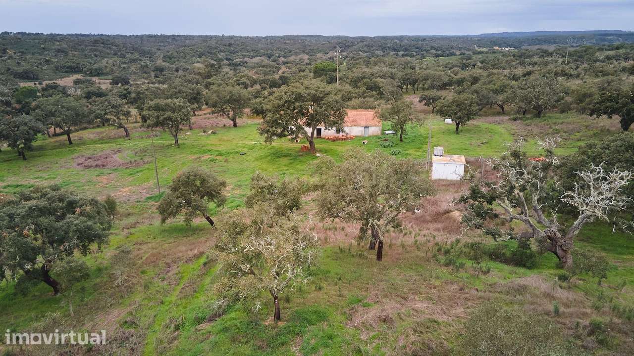 Terreno, 88 m², Abela - Grande imagem: 5/60