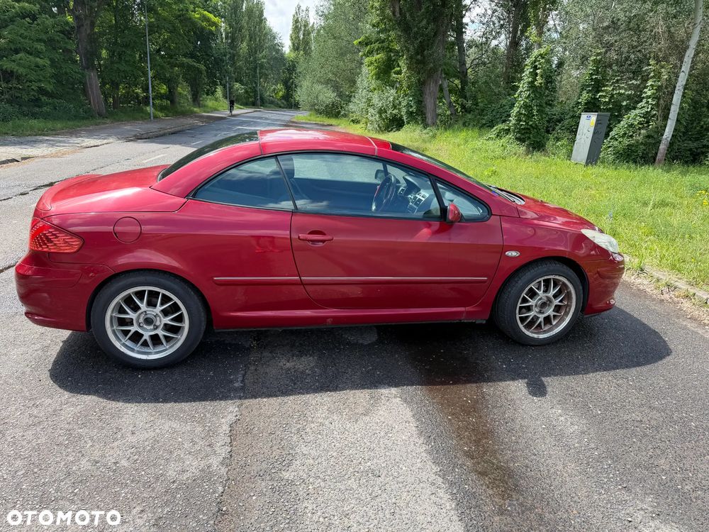 Peugeot 307 CC 2.0 - 11