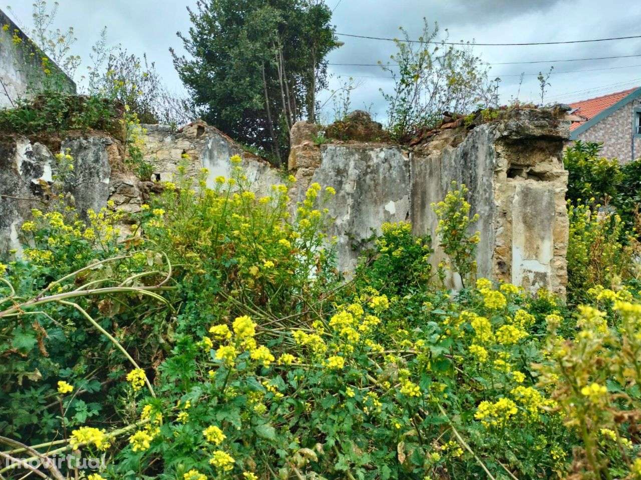 Moradia para recuperar no centro da Romeira - Grande imagem: 5/10