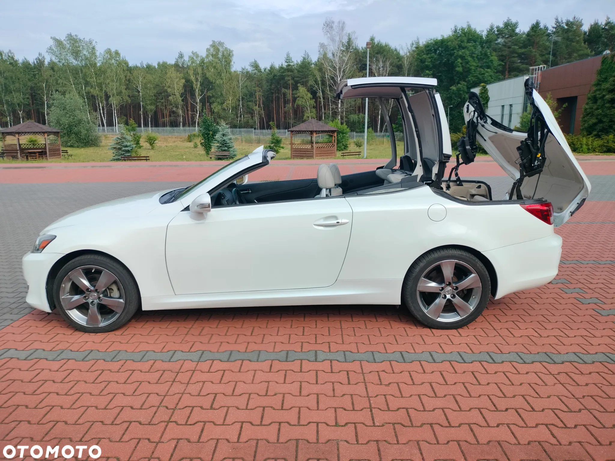 Lexus IS - 31