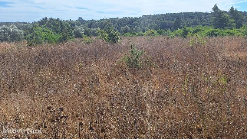 Terreno, 4 040 m², Pontével - Grande imagem: 3/5
